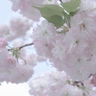 兽设配色搭配思路福瑞交流群